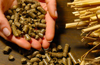 free Shop biomass boiler quotes